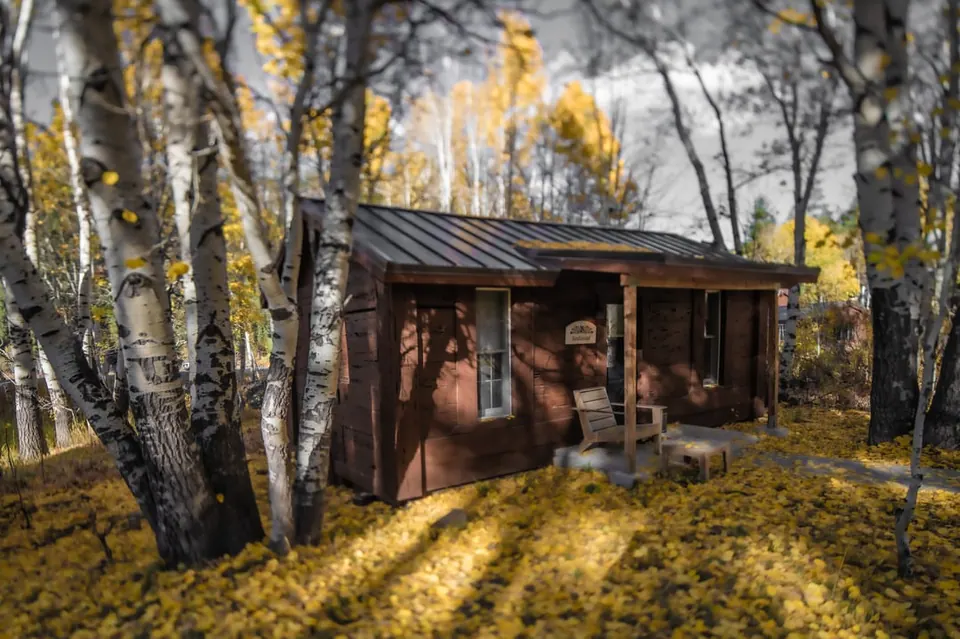 A weathered wooden cabin sits among bright yellow autumn trees.