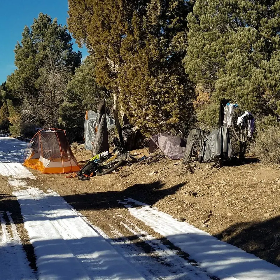 A small camp is arranged among pale rocks and evergreen trees.