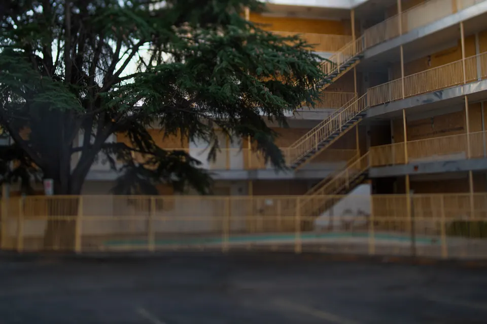 A tree and apartment balconies are overlaid by reflections across a quiet courtyard.
