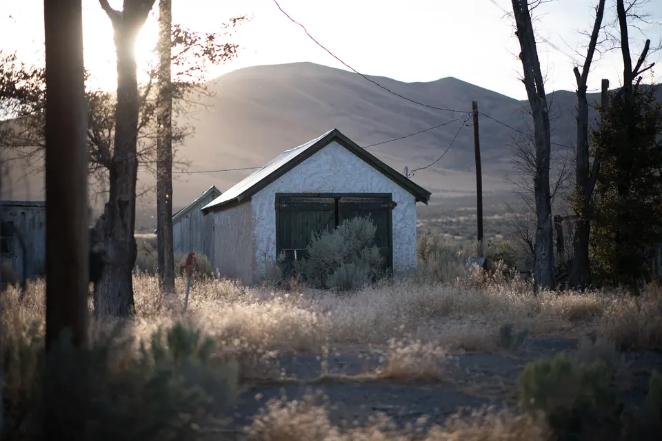 A small pale shed stands in dry grass beneath tall trees.