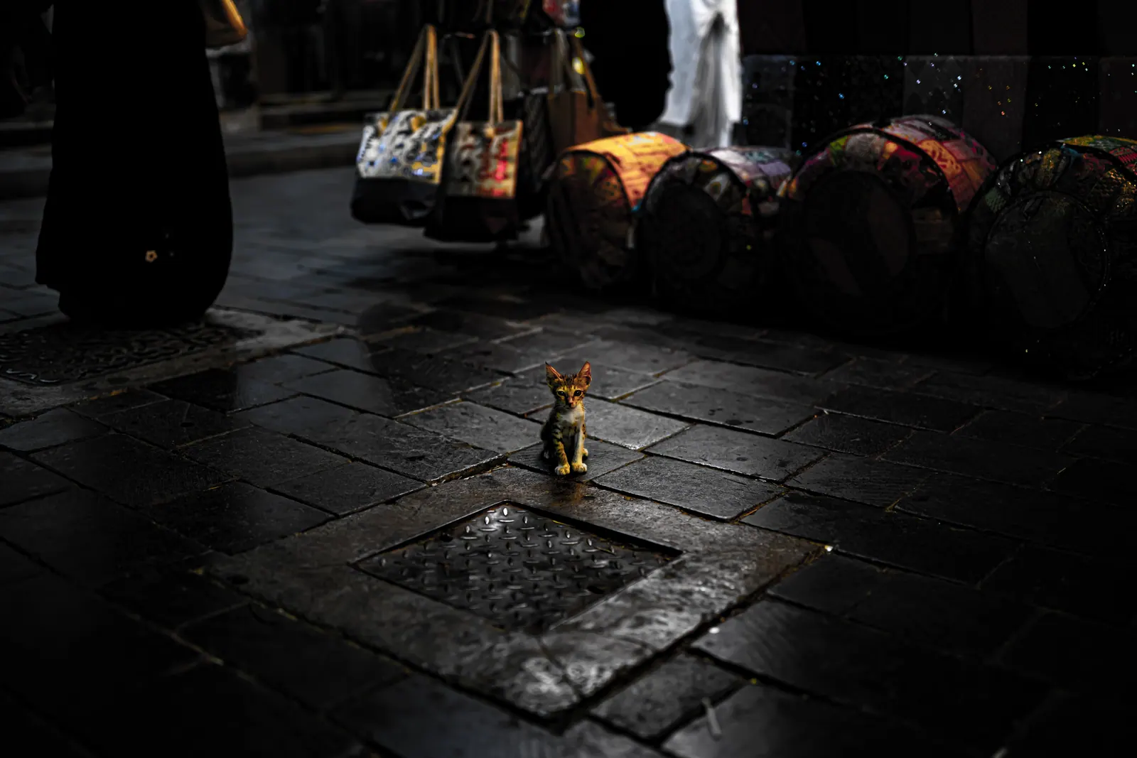 A small kitten stands on dark stone paving, surrounded by the textures of a market street.