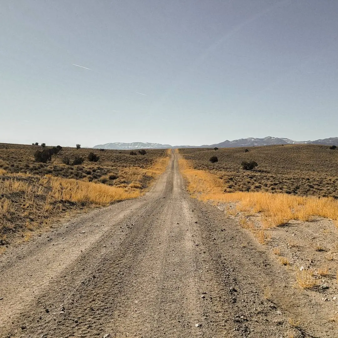 A long gravel road runs straight through low desert plants toward distant hills.