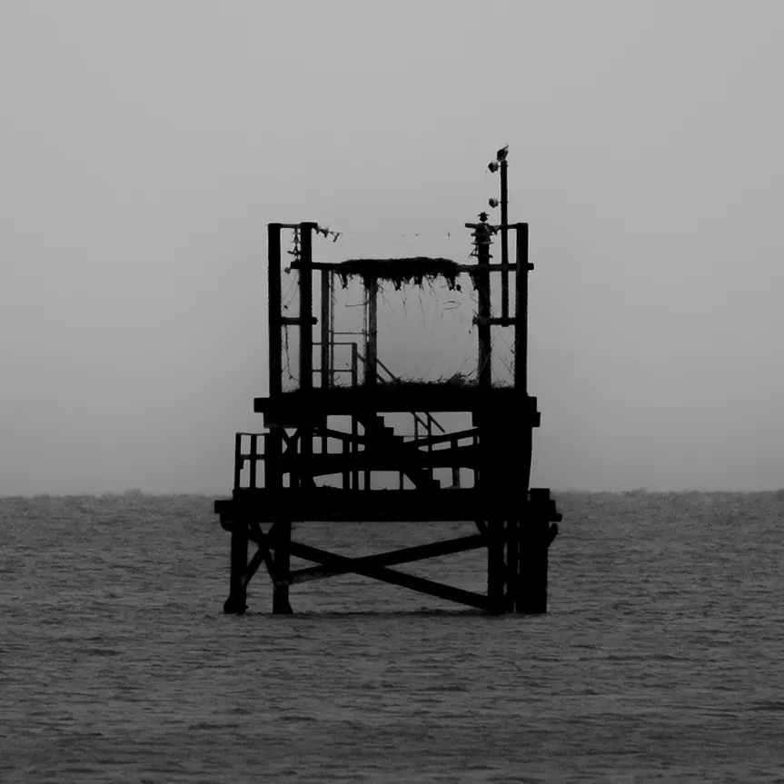 A dark skeletal structure stands alone above a flat, grey expanse of water.