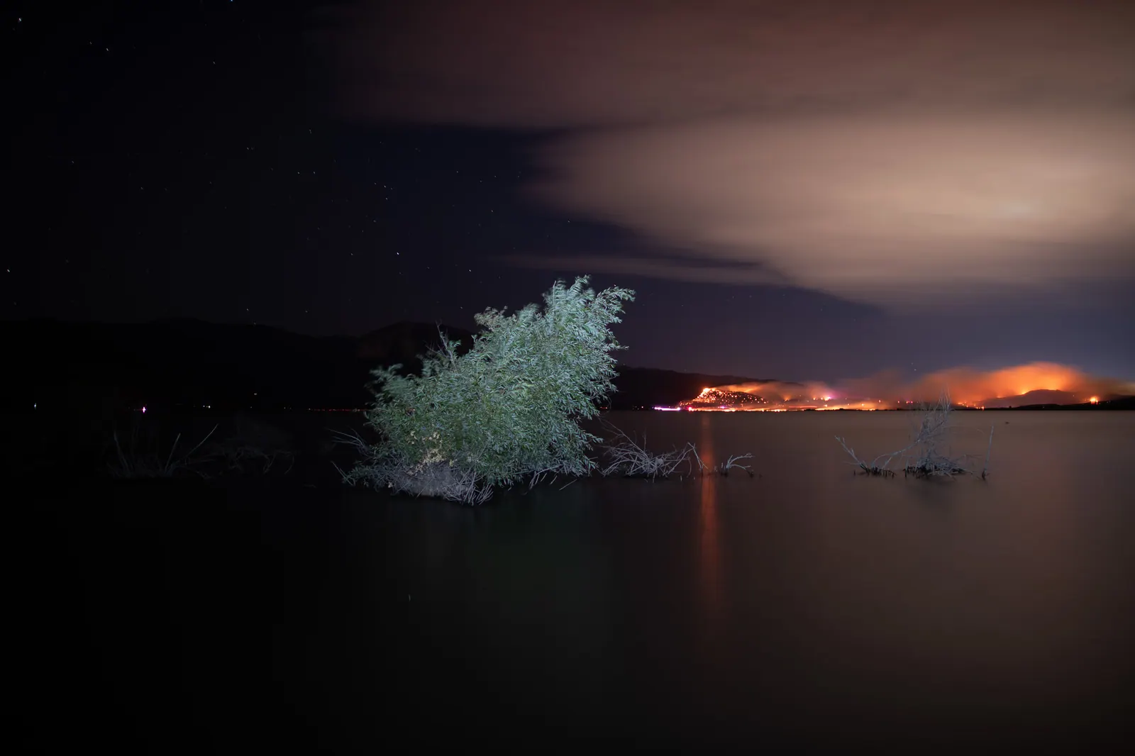 A pale tree stands against smoke and the orange glow of a distant hillside fire.