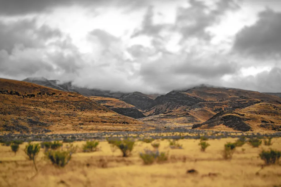 Scattered trees cross a dry valley beneath a sky of heavy clouds.
