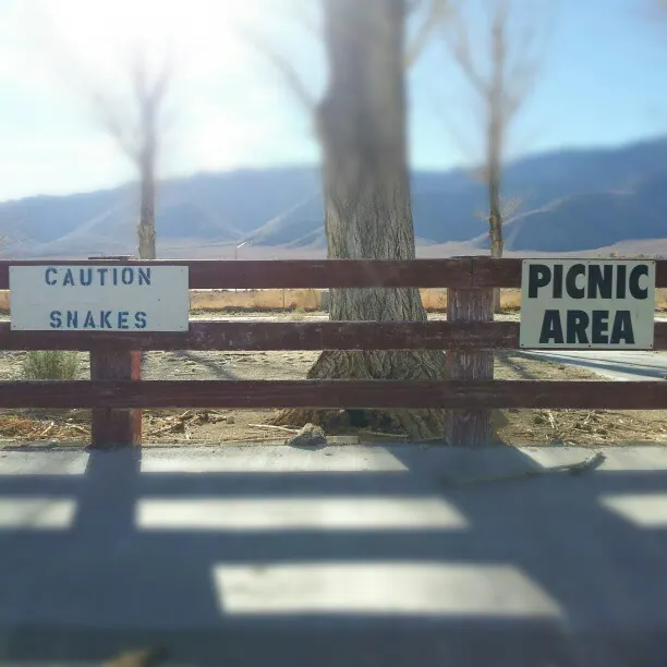 A wooden rail carries a snake warning beside a quiet picnic area.