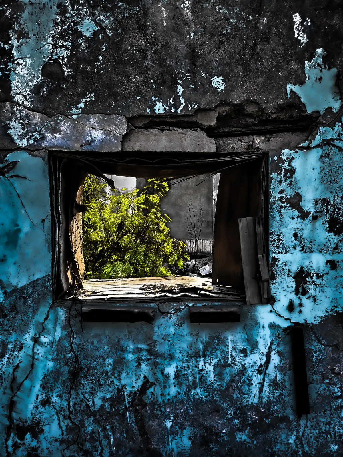 A small window in a weathered blue wall frames a patch of bright green foliage.