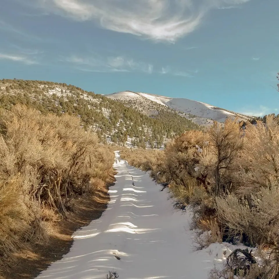 A narrow snowy path winds between pale grasses toward low hills.