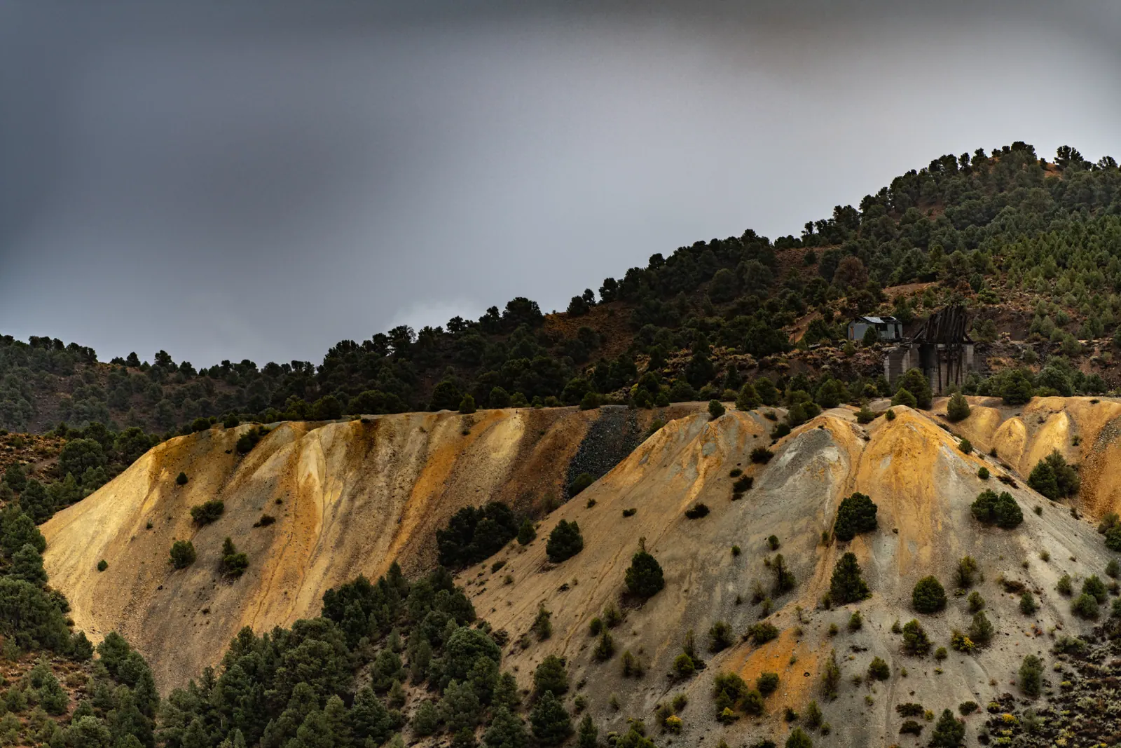 Pale yellow exposed earth forms a steep slope beneath scattered trees.