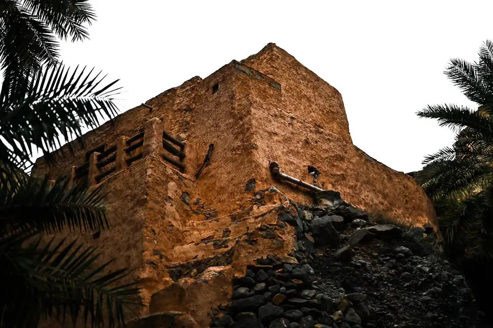 Palm fronds partly conceal a weathered building made from warm brown stone.