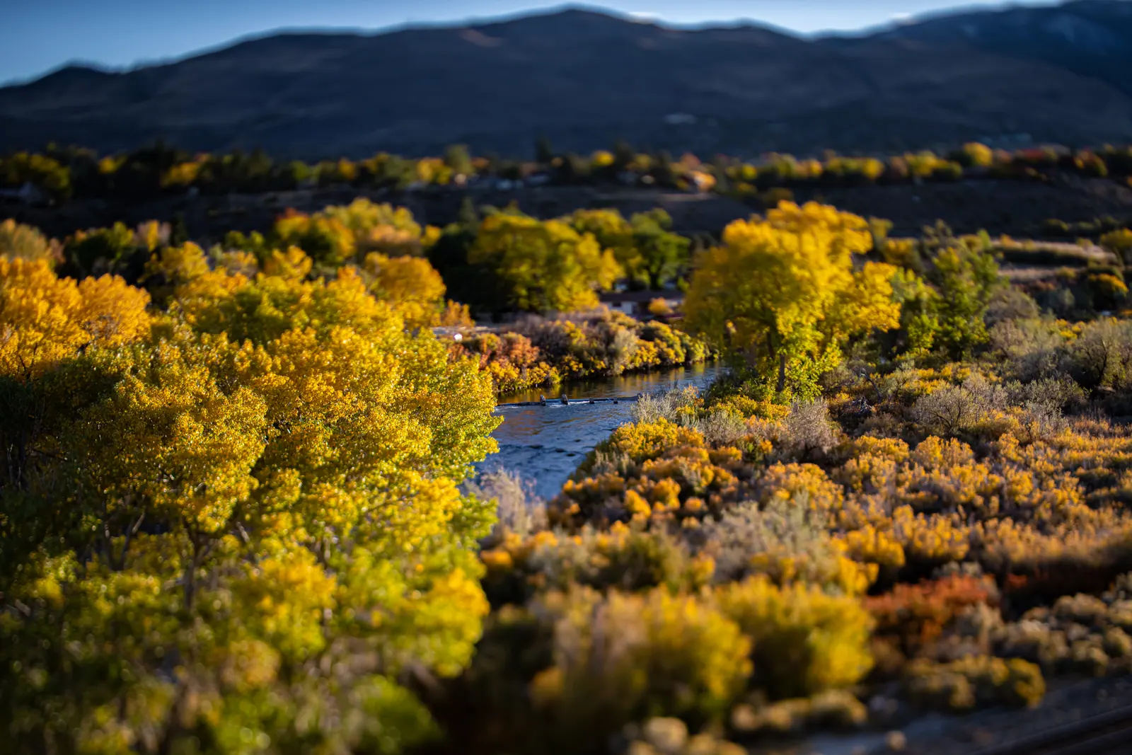 Golden trees follow a river through a wide valley below dark hills.