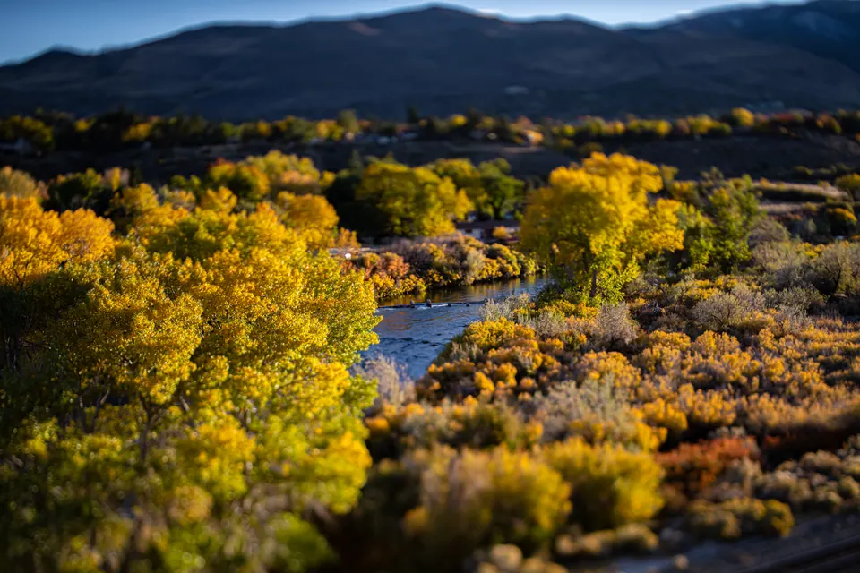 Golden trees follow a river through a wide valley below dark hills.