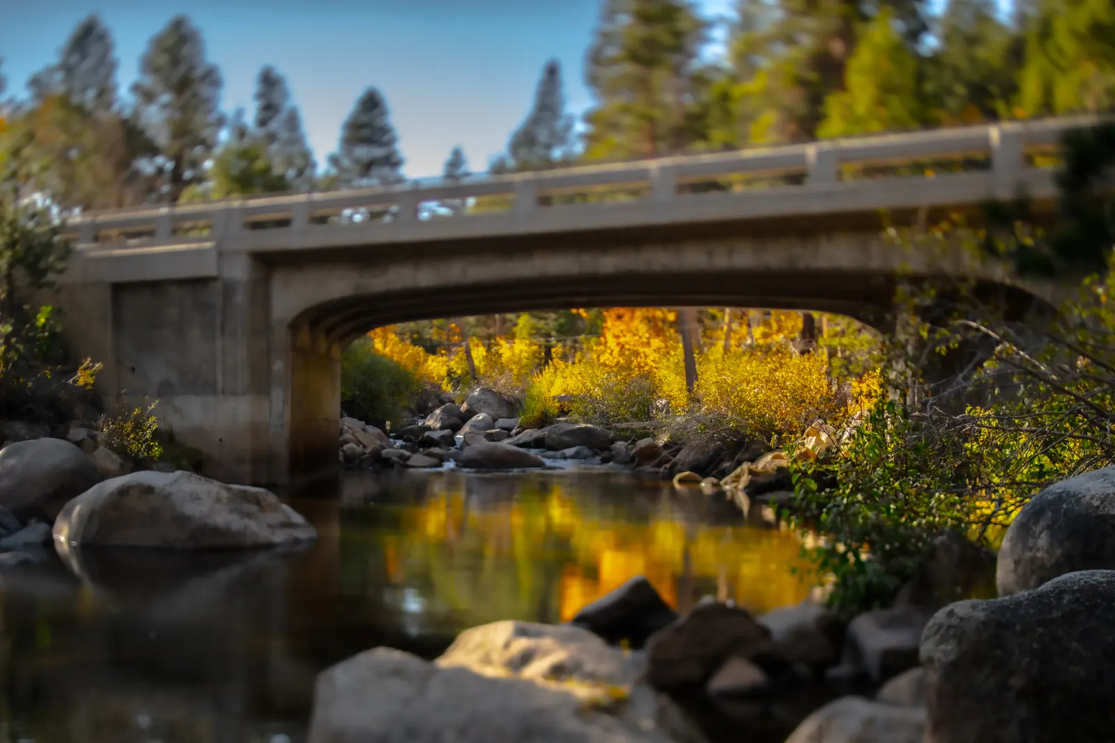 A small bridge spans still water framed by golden autumn trees.