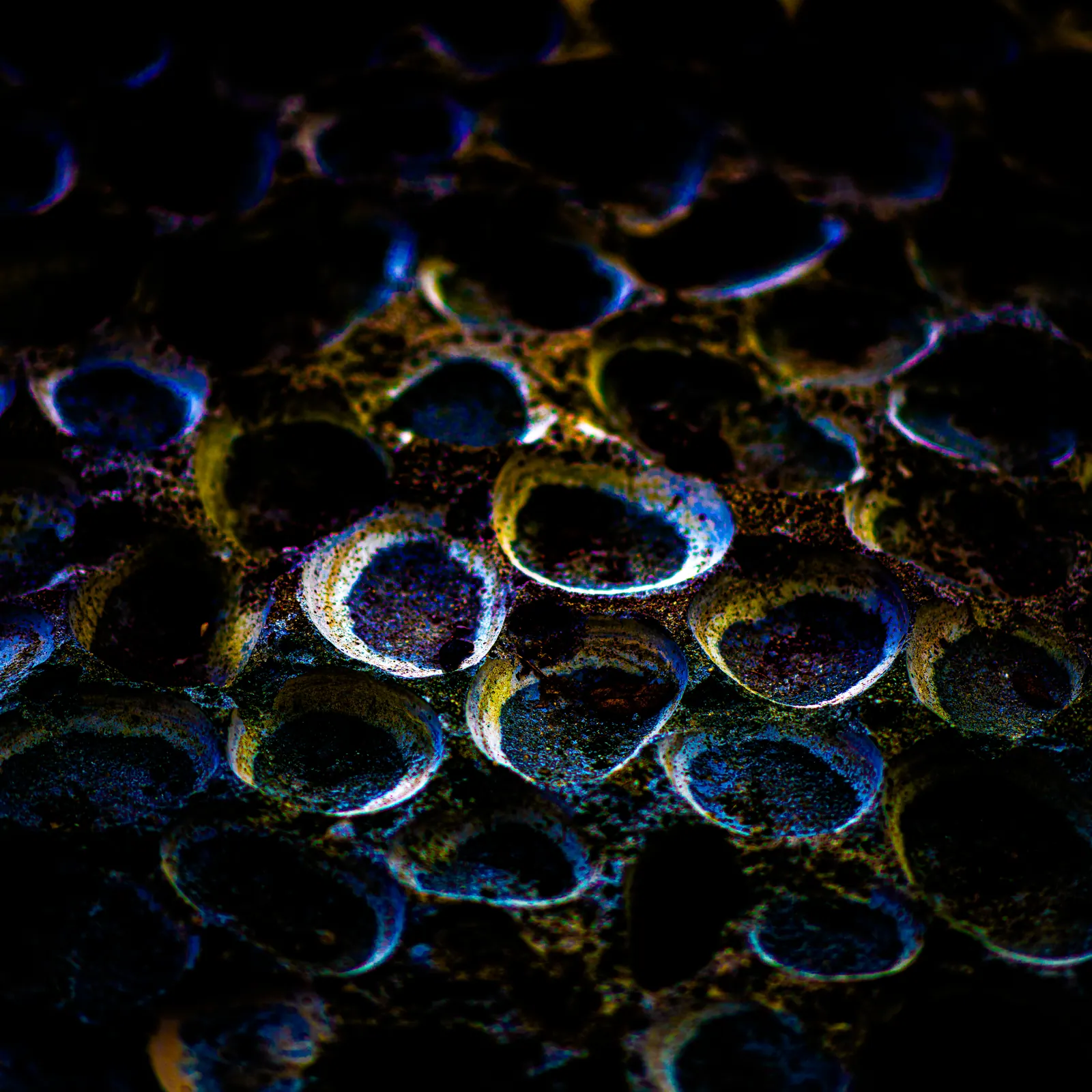 Rounded glass-like forms catch small rings of blue light in deep shadow.