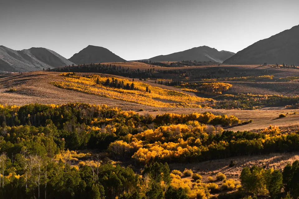 Golden autumn trees follow the folds of a broad mountain valley.
