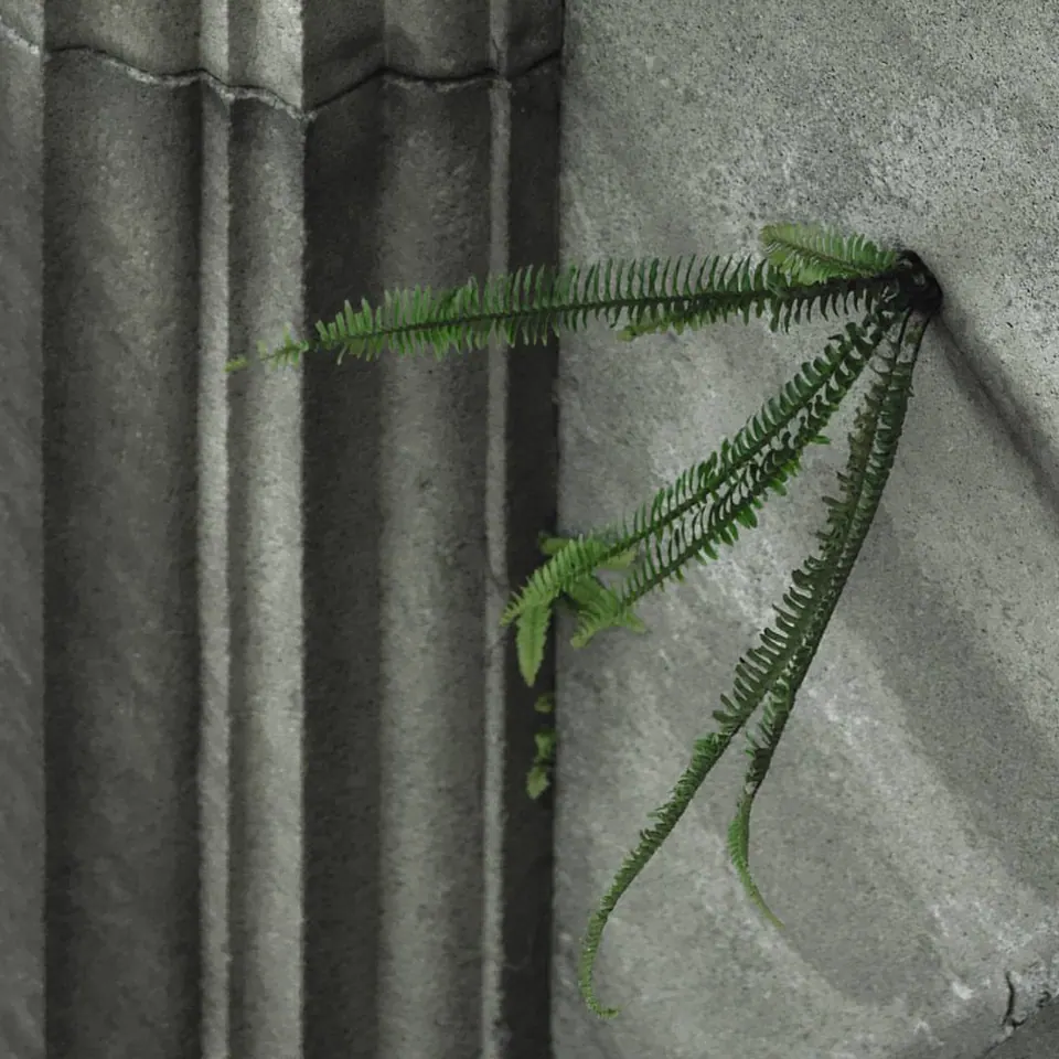 Small green fronds grow against the folds of a pale stone surface.