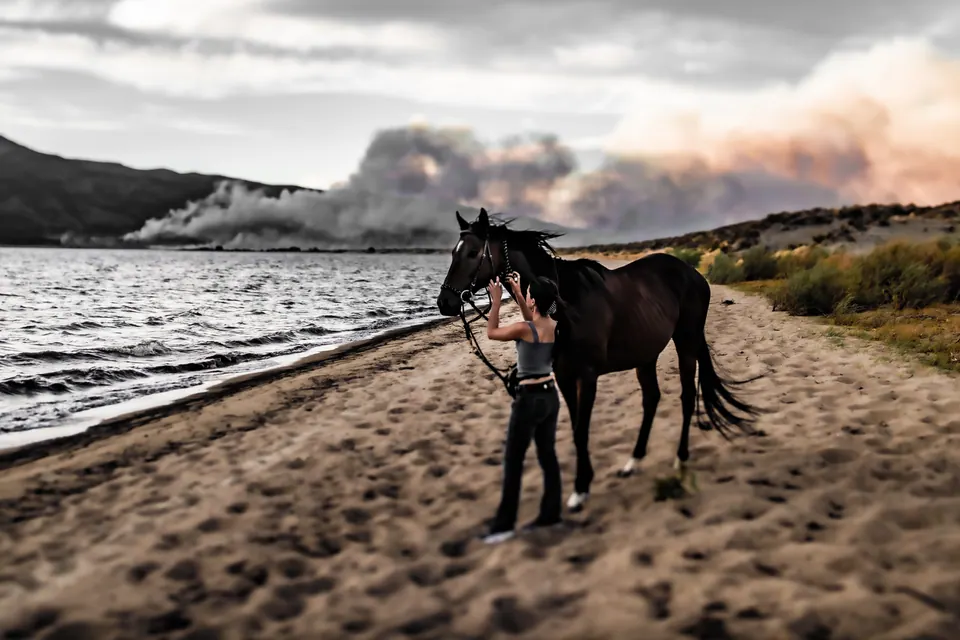 Two horses stand beside a lake while pale smoke or mist rises in the distance.