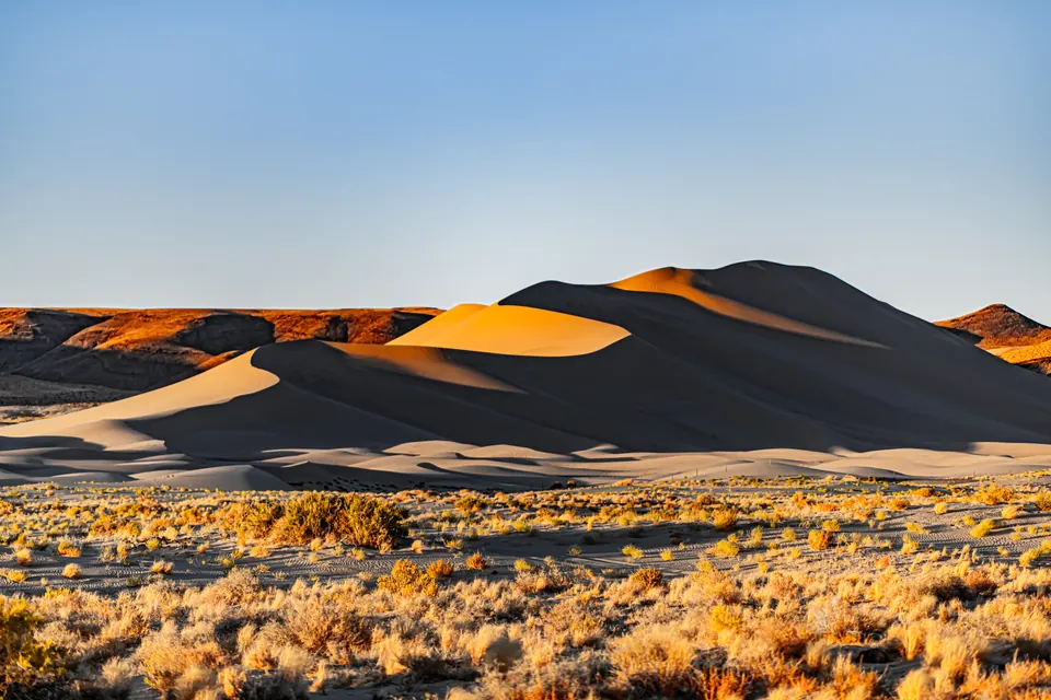 Warm light falls across the curves of sand dunes above a flat of desert scrub.