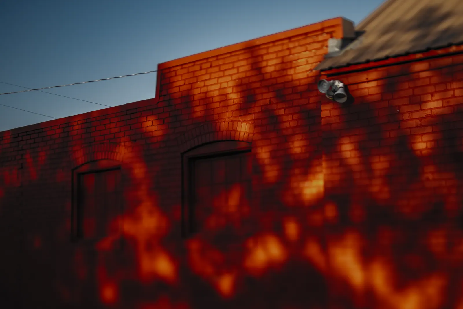 Tree shadows fall across a vivid red brick wall in warm light.