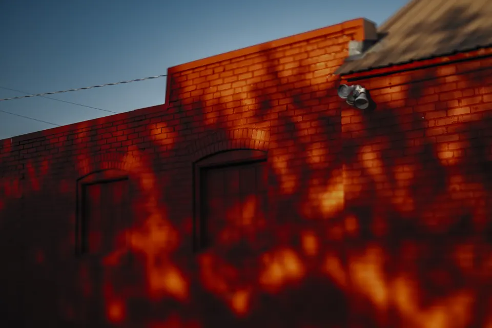 Tree shadows fall across a vivid red brick wall in warm light.