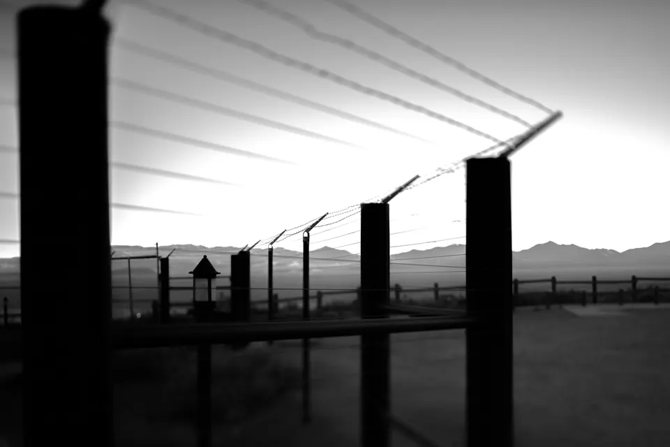 Fence posts and overhead wires make a stark pattern against a pale desert sky.