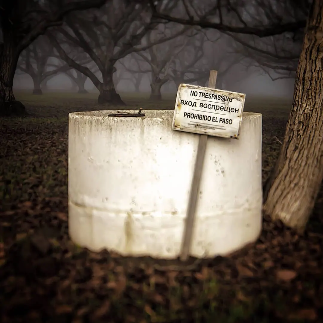 A small warning sign rises above a concrete structure surrounded by fallen leaves.