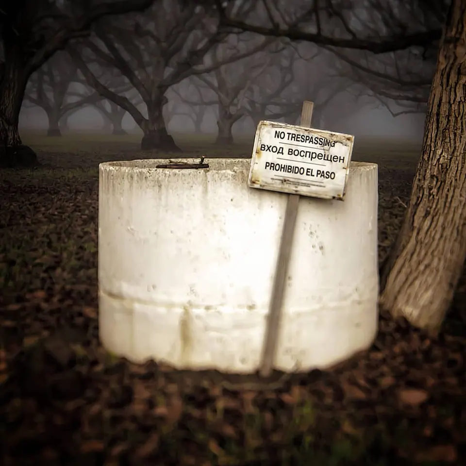 A small warning sign rises above a concrete structure surrounded by fallen leaves.