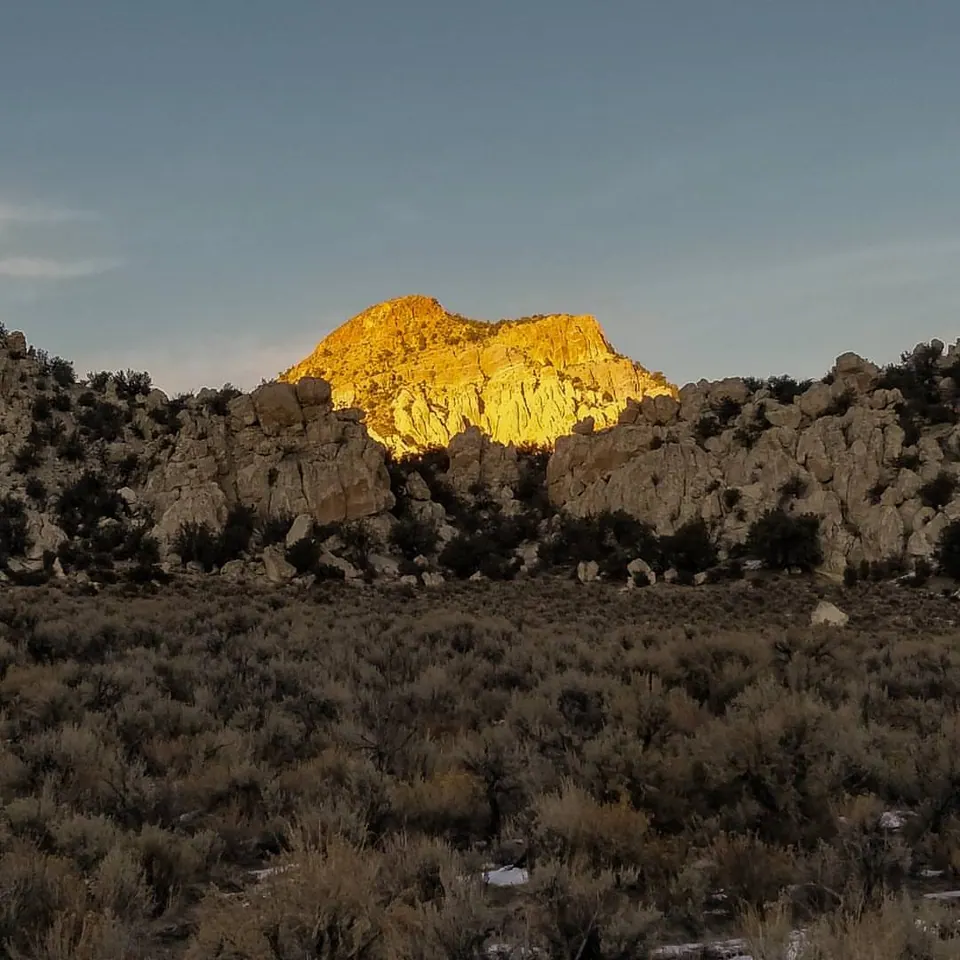 A small mountain summit catches golden light above darker trees and snow.