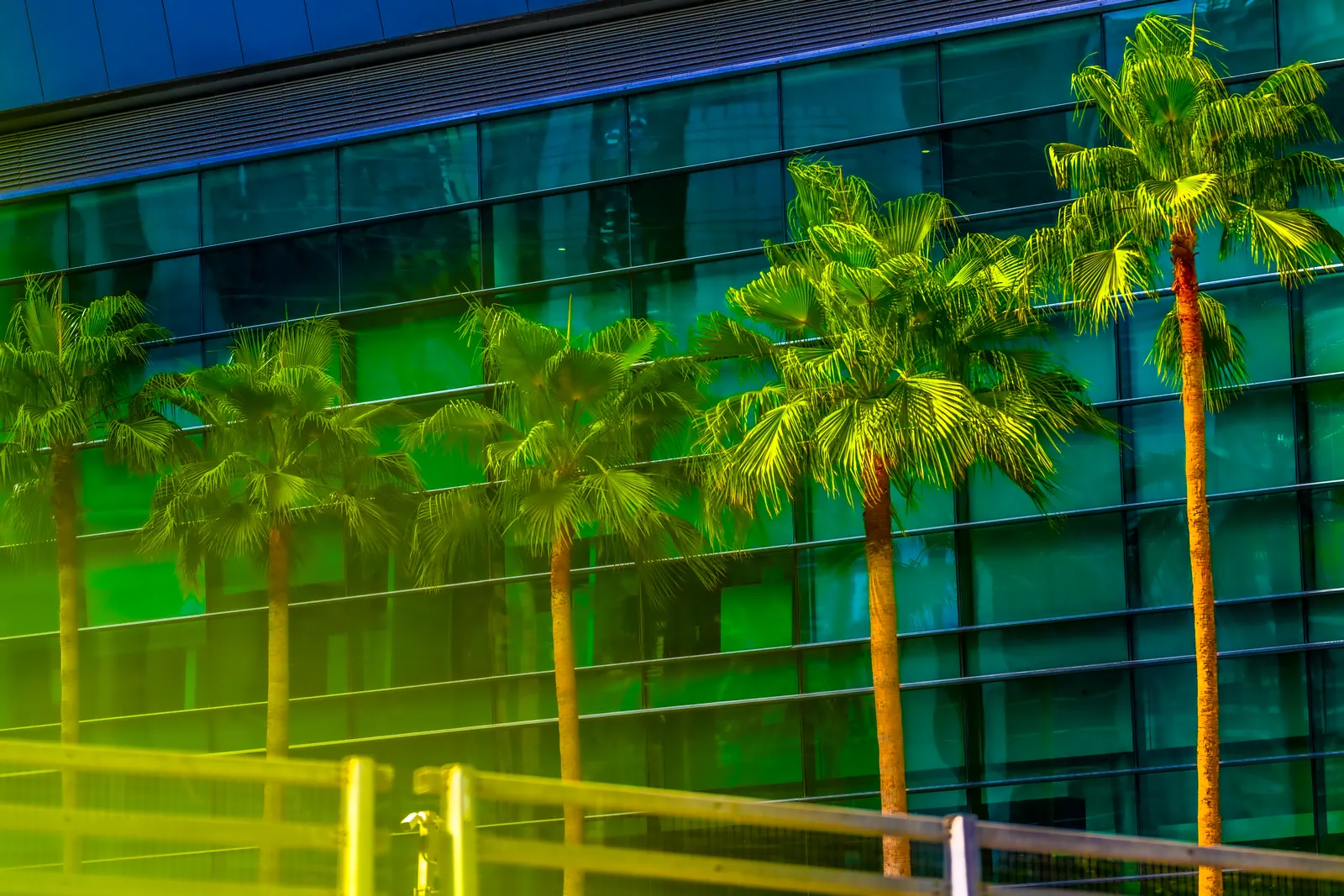 Palm trees appear against a glass facade reflecting vivid green and yellow light.