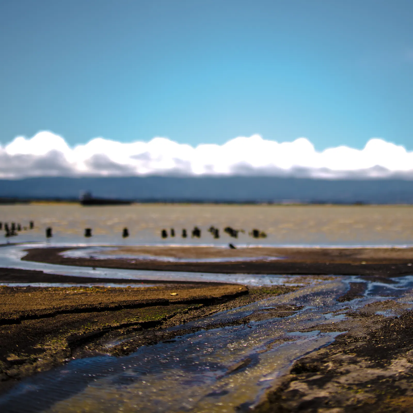 Old wooden posts stand along a broad, pale shoreline beneath distant clouds.