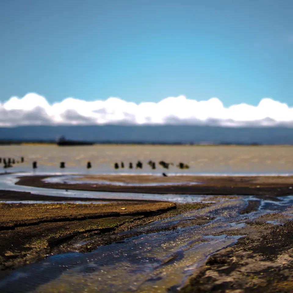 Old wooden posts stand along a broad, pale shoreline beneath distant clouds.