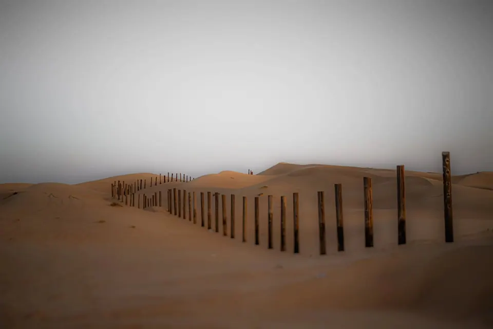A line of wooden posts disappears across sand dunes into pale mist.