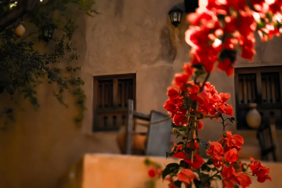 Bright red flowers soften the edge of an old wall and small window.