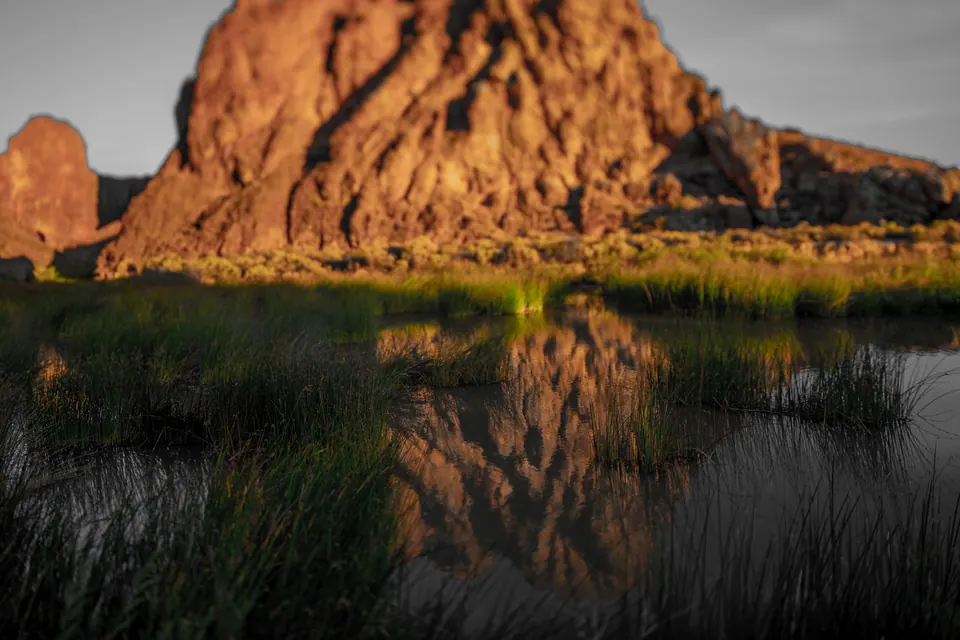 Warm sunlight catches a rock formation reflected in a pool among grasses.