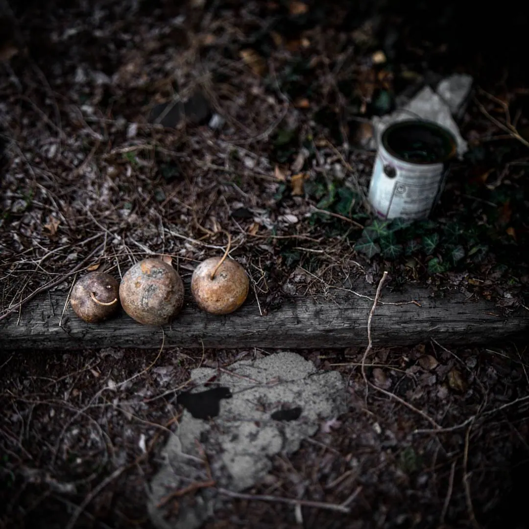 Round objects and an old cup lie on weathered timber among dry leaves.