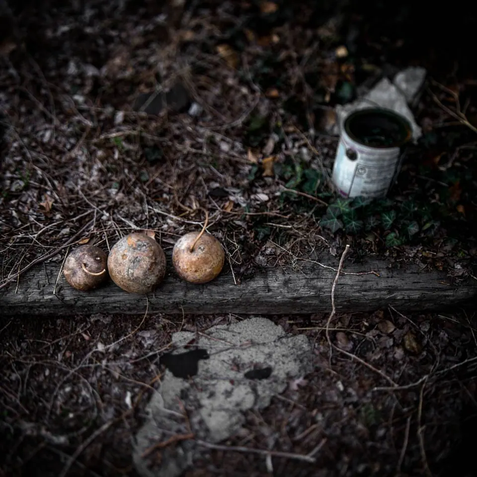 Round objects and an old cup lie on weathered timber among dry leaves.