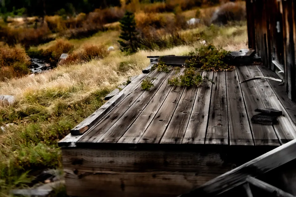 Weathered porch boards open onto sunlit grasses and a distant tree line.