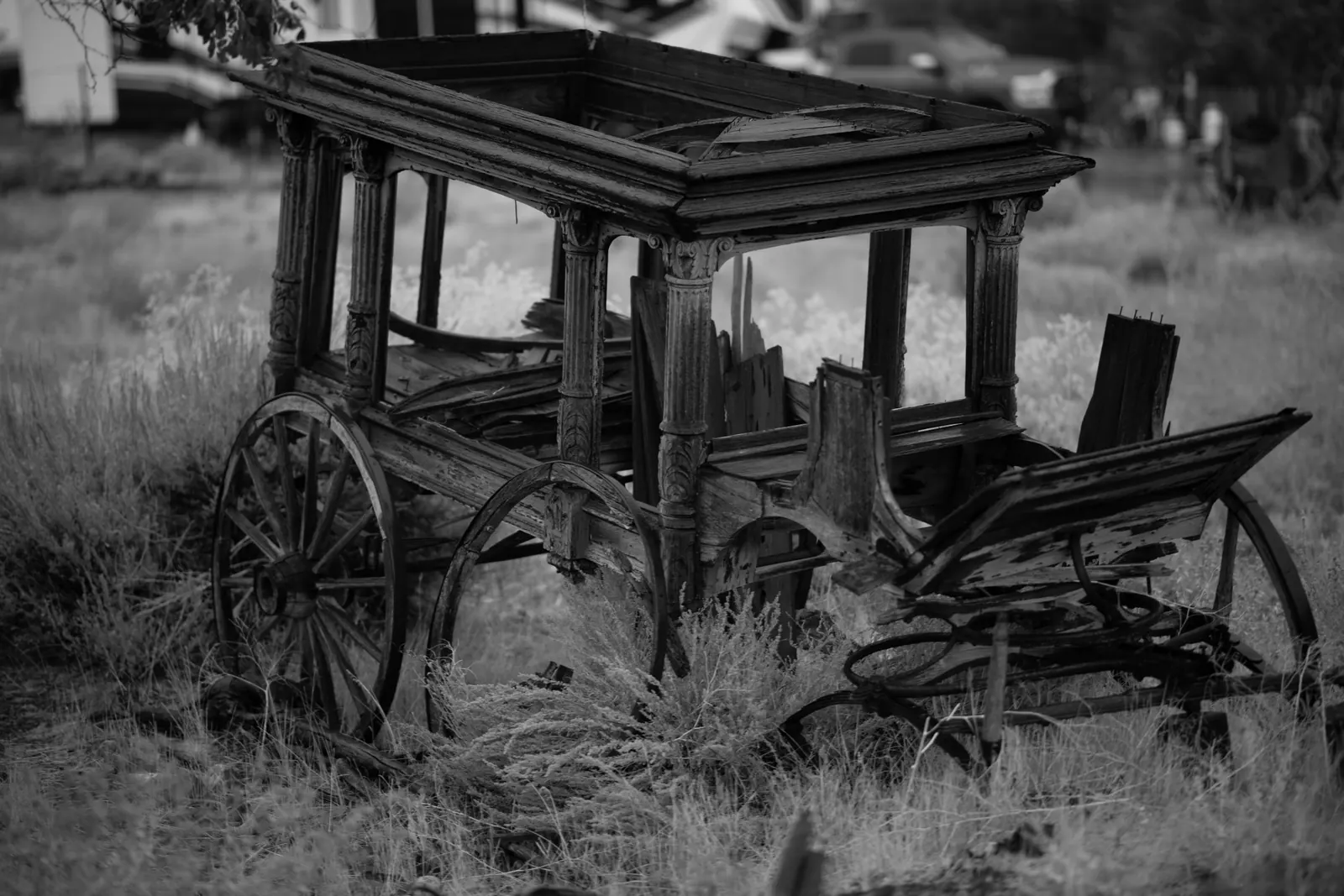 An old wooden carriage sits among tall dry grass.