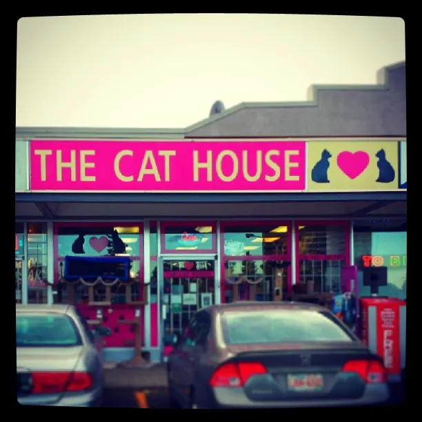 A pink and white shop sign stands above parked cars and a bright storefront.