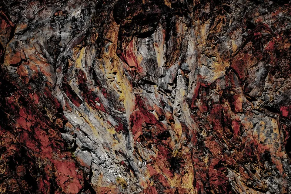 Red, silver and dark brown textures cover a deeply furrowed tree trunk.