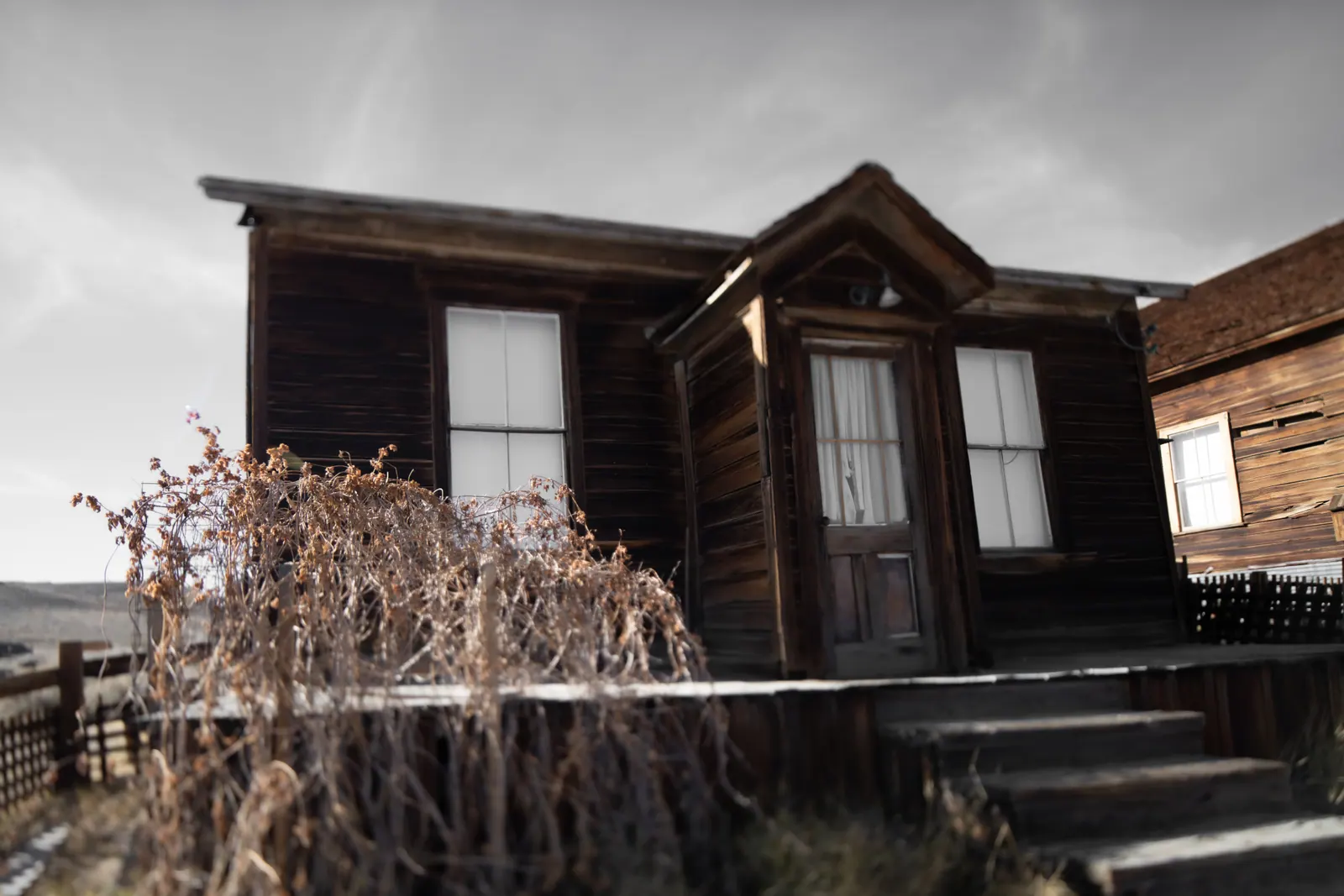 A small wooden house with pale windows stands among dry plants.