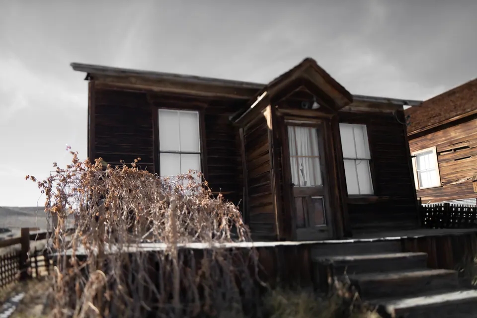 A small wooden house with pale windows stands among dry plants.