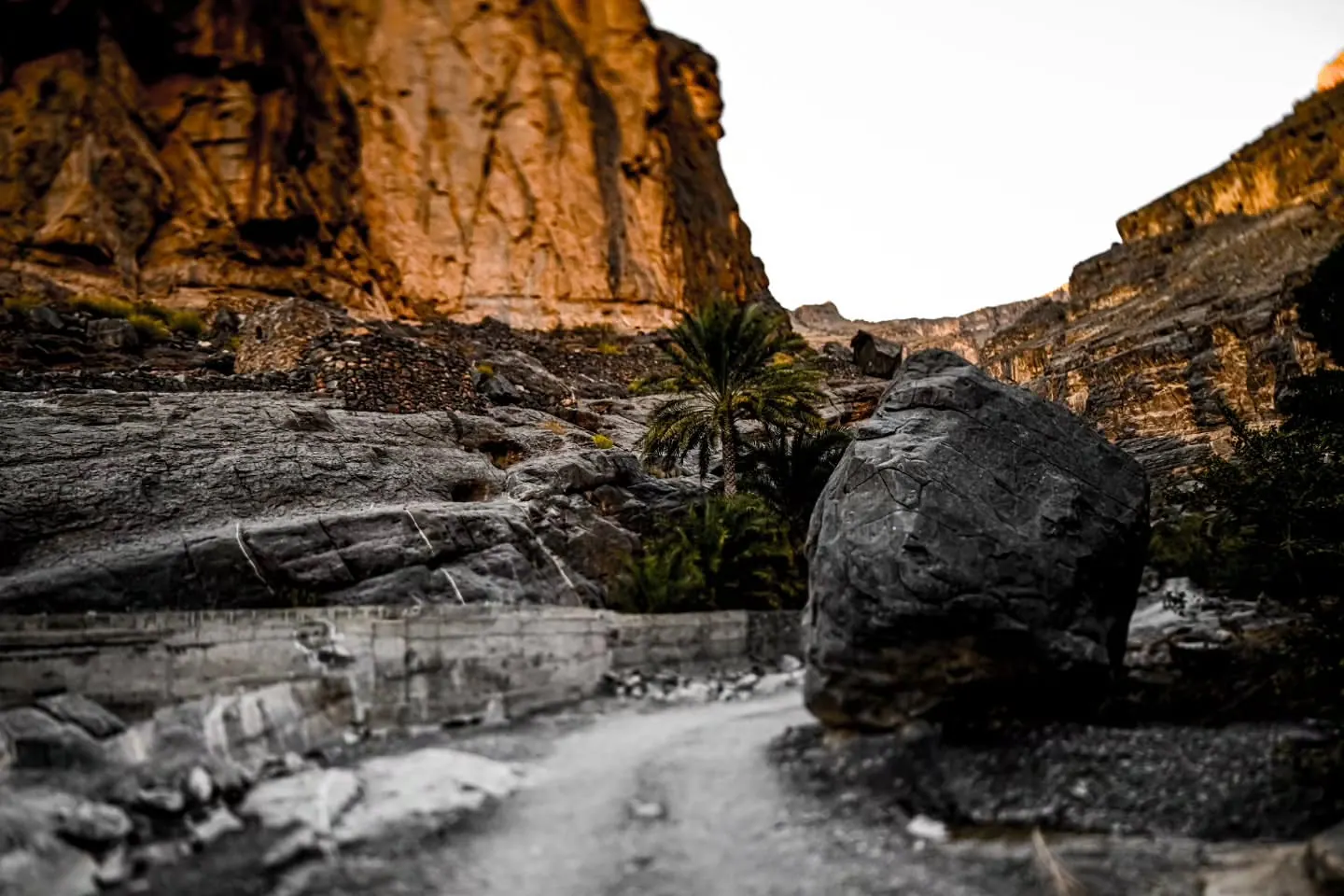A rocky riverbed curves beneath a tall cliff and a stand of palms.