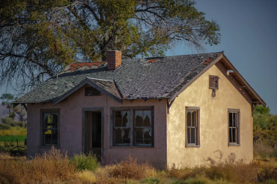 A small yellow house sits behind long grass and overhanging branches.