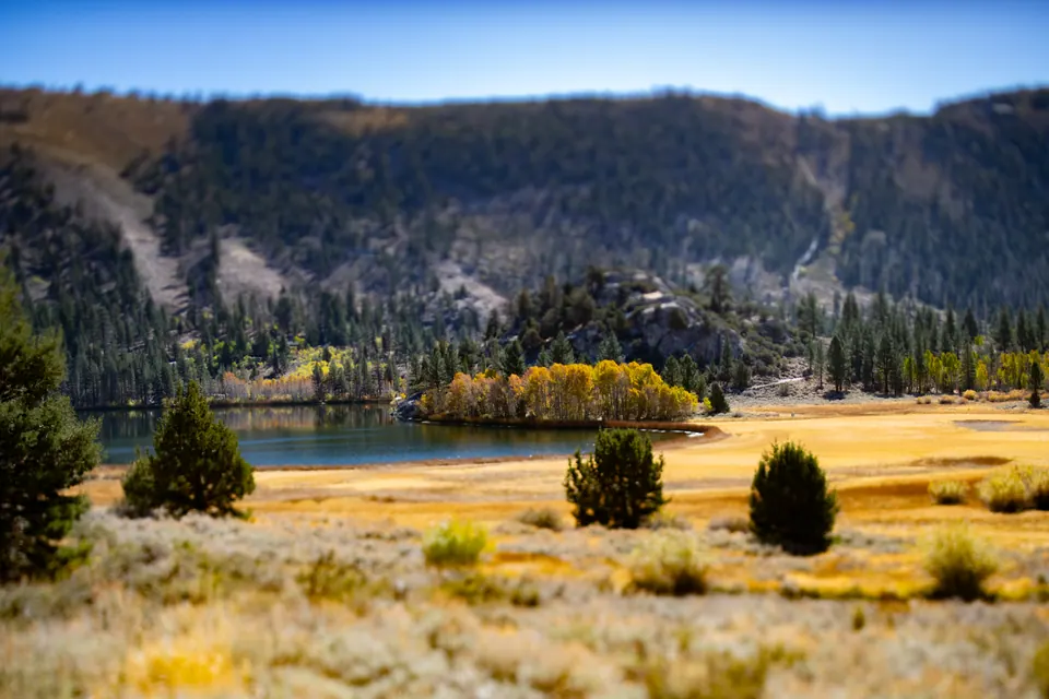 A golden meadow opens beneath wooded hills and a clear blue sky.