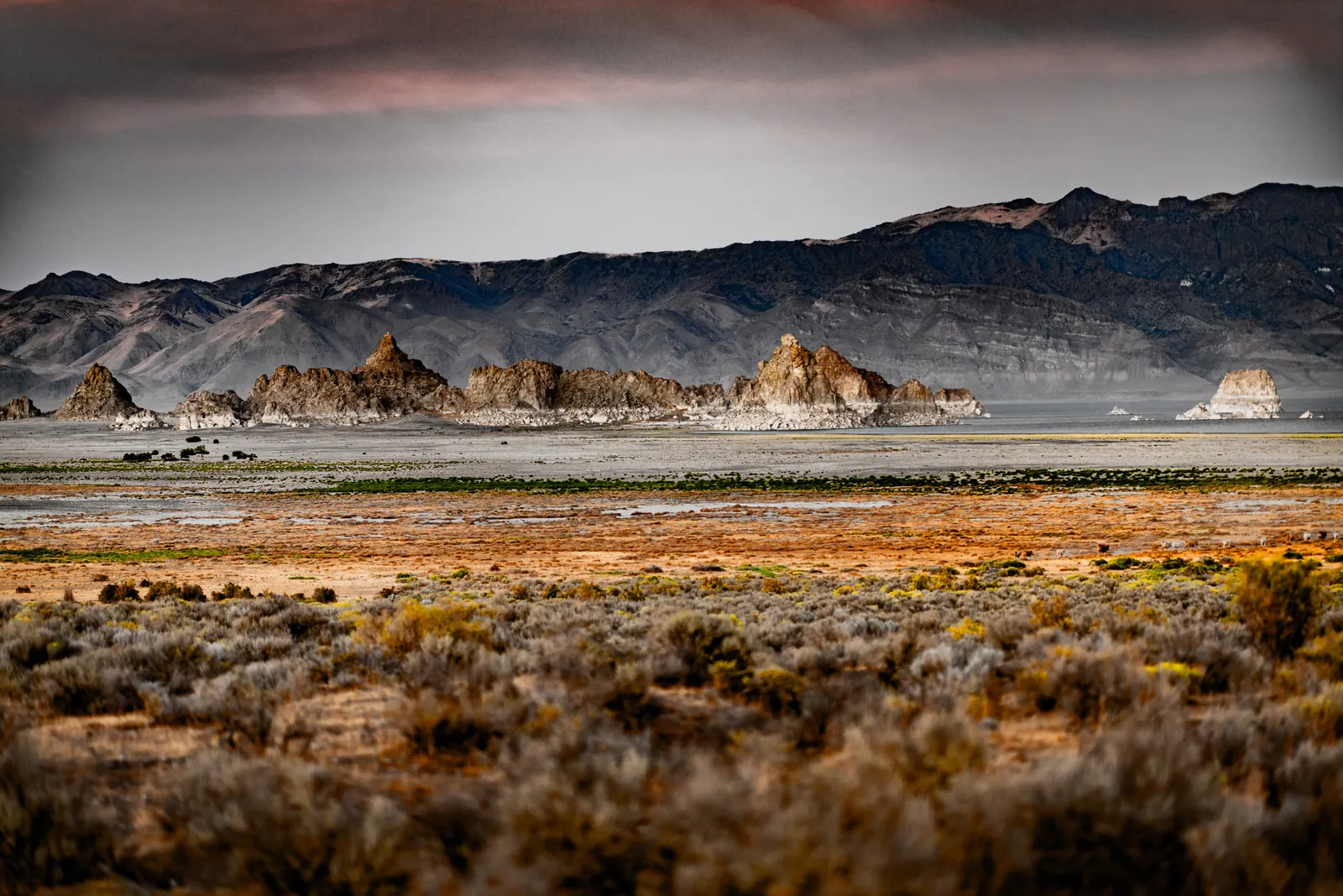Light-coloured cliffs spread across the far side of an open desert basin.