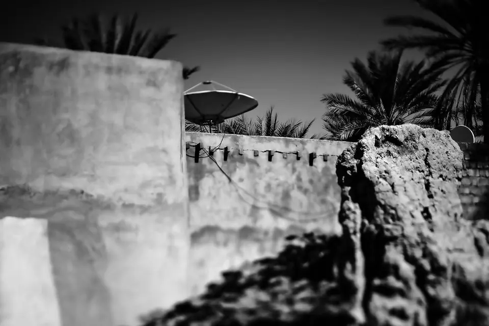 Palm leaves and rough masonry frame an old white wall in black and white.