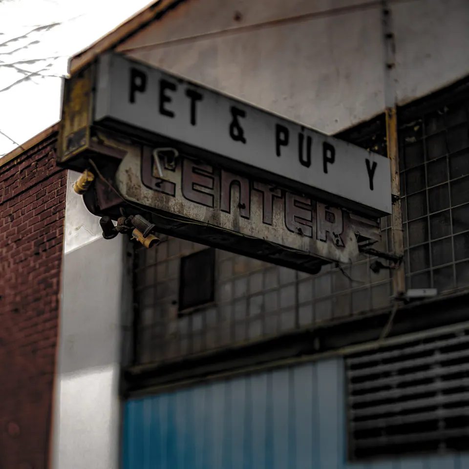 Weathered pet-shop lettering projects above a closed city storefront.