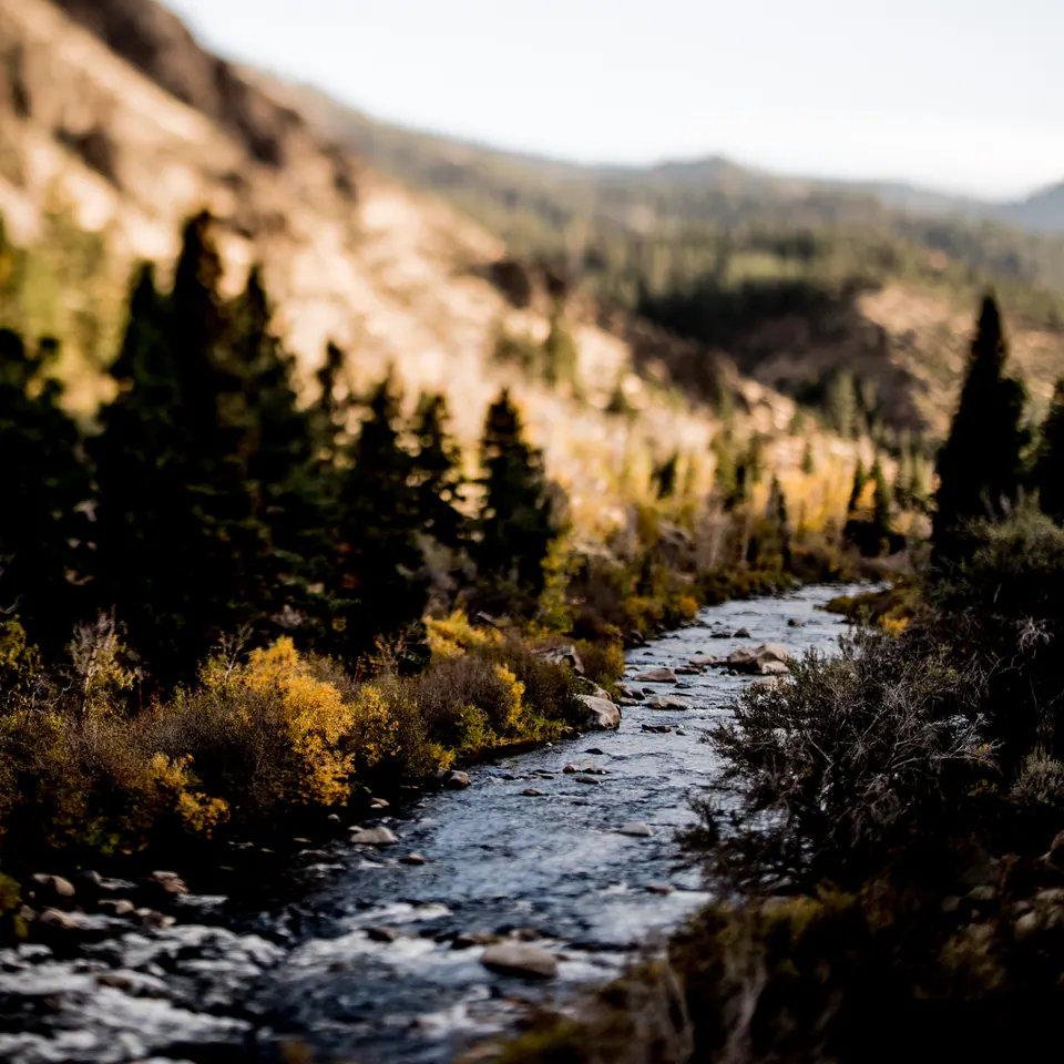 A bright river winds through dark evergreen trees and a pale rocky valley.