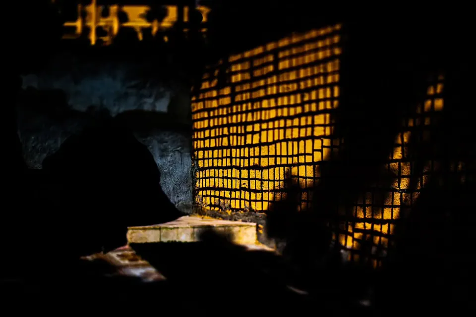 Golden light passes through a patterned screen into a dark interior.